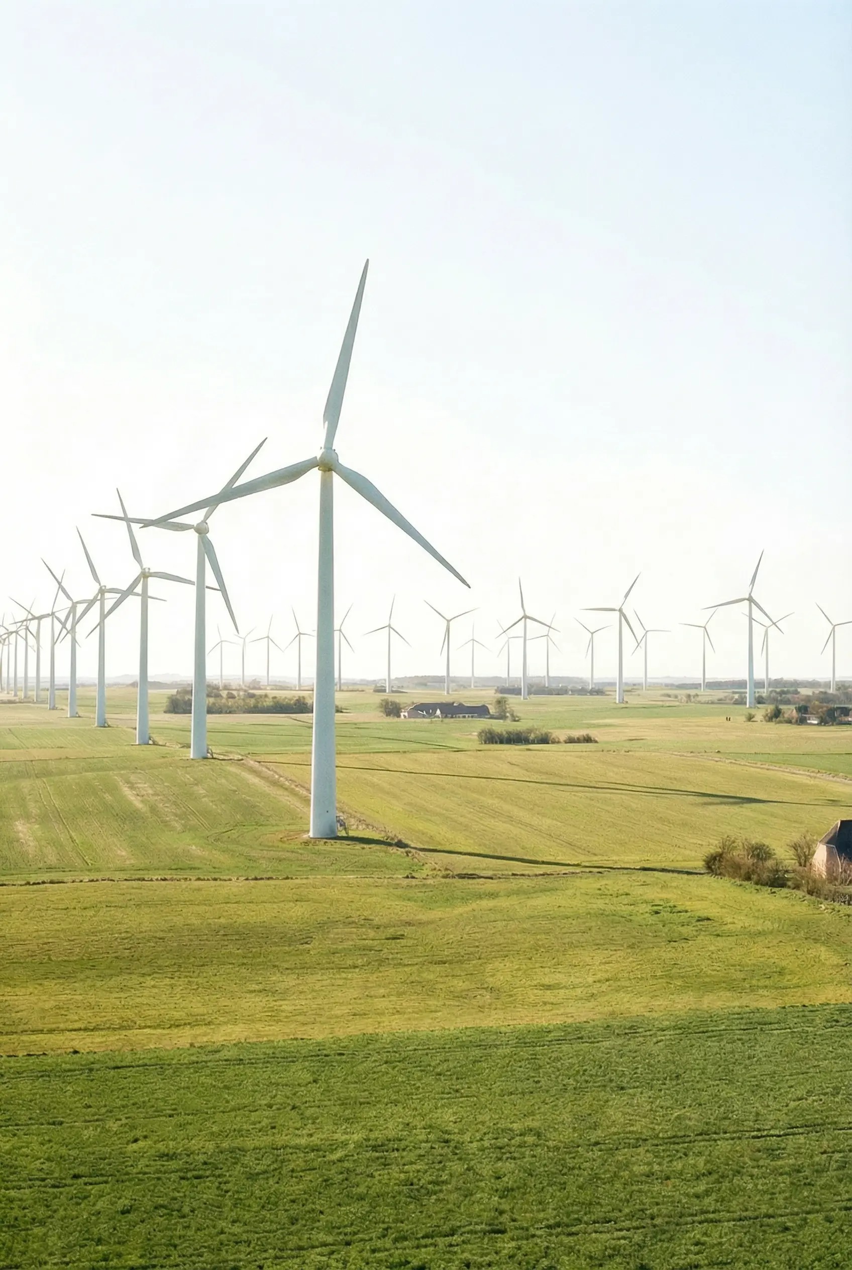 Thy Wind Farm